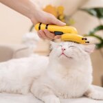 Brosse de nettoyage des poils pour chien et chat, elimine les sous - manteaux emmls, peigne style petite ...