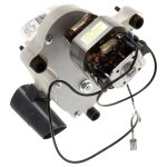 Broyeur du moulin � caf� cafeti�re expresso (7313230501 delonghi)