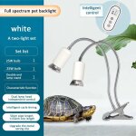 Cble d'alimentation pour ampoules led suspendues, support de prise, base de lampe, interrupteur, fil, ...