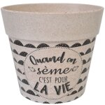 Cache pot quand on sme en bambou