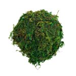 Cachette de reptiles pour la diversification des coquillages naturels, mousse d'aquarium, diversification ...