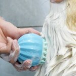 Cactus en forme d'animal de compagnie chien chat bain brosse peigne spa shampooing douche massage nettoyant ... Cactus en forme d'animal de compagnie chien chat bain brosse peigne spa shampooing douche massage nettoyant ...