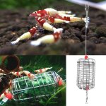 Cage d'alimentation pour poissons et crevettes, petit app�t pour aquarium, panier d'alimentation sec ...