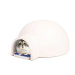 Cage en céramique pour animal domestique, accessoire pour hamster, lit pour souris, maison de refroidissement, ... Cage en céramique pour animal domestique, accessoire pour hamster, lit pour souris, maison de refroidissement, ...