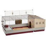 Cage cochon d'inde cage lapin clapier rongeurs - accessoires inclus - ouvrant et modulable 142 x 60 x ... Cage cochon d'inde cage lapin clapier rongeurs - accessoires inclus - ouvrant et modulable 142 x 60 x ...