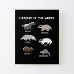 Canevas imprimer badgers of the world, badgers lover, pour les amoureux des animaux impression sur toile ...