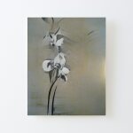 Canevas imprimer orchide blanche impression sur toile roule tableau art dcoration murale / sans cadre ...