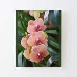 Canevas imprimer orchides impression sur toile roule tableau art dcoration murale / sans cadre 40x50cm ...