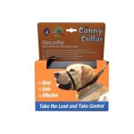 Canny collar 2