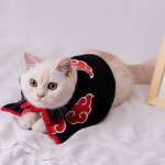 Cape de noël pour animal de compagnie, déguisement amusant pour chat, chien, haut de loisirs, ours en ... Cape de noël pour animal de compagnie, déguisement amusant pour chat, chien, haut de loisirs, ours en ...