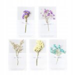 Cartes de voeux de no�l carte de fleurs seches