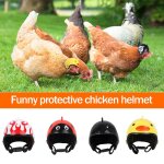 Casque de poulet pour animaux de compagnie petit chapeau rigide casque d'oiseau pour caille jouet accessoires ...