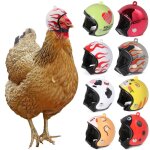 Casque en poulet? equipement de protection pour animaux domestiques? jouet de protection contre la pluie ...