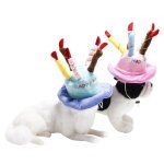 Casquettes d'anniversaire pour chien chat animal chapeau avec bougies a gteau, design pour costume de ...
