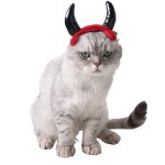 Casquette d'halloween en corne de b�uf pour chat, chapeau en corne de vampire, petit chien, couvre - ...