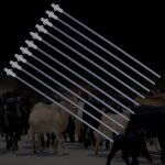 Cath�ter d'indentation de mouton, canie, chiens, animaux de compagnie, alimentation artificielle, fouet, ...