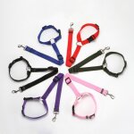 Ceinture de s�curit� pour animaux domestiques 2 en 1, harnais r�glable, laisse en plomb, voyage en plein ...