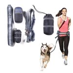 Ceinture elastique pour animaux de compagnie, laisse pour chiens, course, sport, jogging, marche, collier ...