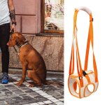 Ceinture en maille pour chiens handicapés, support de marche pour animaux domestiques, harnais pour personnes ... Ceinture en maille pour chiens handicapés, support de marche pour animaux domestiques, harnais pour personnes ...
