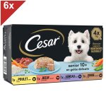 Cesar barquette de gel�e - pour chien senior - 4x150g (x6)