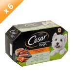Cesar barquette de terrine aux lgumes - pour chien - 4x150g (x6)