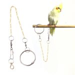 Chaîne en cercle a boucle pour les oiseaux, grand bracelet de cheville, en cuivre, pour les cockatiels, ... Chaîne en cercle a boucle pour les oiseaux, grand bracelet de cheville, en cuivre, pour les cockatiels, ...