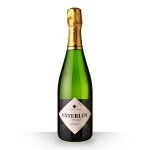 Champagne esterlin brut eclat 75cl