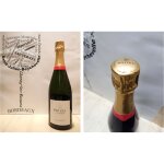 Champagne maison boizel - brut r�serve - 1 x 75 cl - blanc effervescent