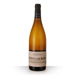 Chanson savigny - les - beaune 1er cru haut marconnets blanc 2019 - 75cl