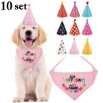 Chapeau pour animaux de compagnie, joli et cratif, pour chien, chiot, serviette, ensemble avec bandana, ...