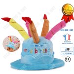 Chapeau anniversaire animaux chien chat de compagnie fte vtement costume bougies rigolos evenement ...