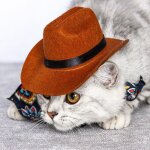 Chapeau d'été pour chat, 1 pièce, chapeau universel pour chien, chapeau de cowboy occidental, décoratif ... Chapeau d'été pour chat, 1 pièce, chapeau universel pour chien, chapeau de cowboy occidental, décoratif ...