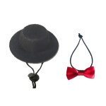 Chapeau a corde de traction en cuir souple avec n¿ud papillon, lizard, reptile, dragon barbu, harnais, ... Chapeau a corde de traction en cuir souple avec n¿ud papillon, lizard, reptile, dragon barbu, harnais, ...