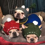 Chapeau d'hiver en laine pour animaux de compagnie, chapeau pour bouledogue fran�ais de no�l, avec boule, ...