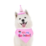 Chapeau de joyeux anniversaire pour chien et chat, couvre - chef, bandana, cravate, dcorations fantaisie ...