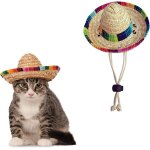 Chapeau de paille pour animal domestique - chapeau de sombrero mexicain - d�corations de f�te d'anniversaire ...