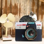 Chat jouets chat planche a gratter tampon a gratter chaton ondul� papier coussin chats ongles grattoir ...