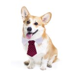 Chaton formel cravate coton chiot rayure chat cou sangle collier de chien maison accessoires de déguisement ... Chaton formel cravate coton chiot rayure chat cou sangle collier de chien maison accessoires de déguisement ...