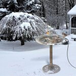Chauffe - eau thermostatique avec base en aluminium pour garde, idal pour le bain d'oiseaux, idal pour ...