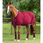 Chemise s�chante pour cheval premier equine premtex