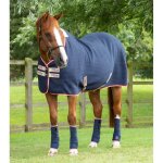 Chemise s�chante pour cheval premier equine premtex