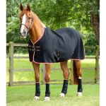 Chemise s�chante pour cheval premier equine premtex