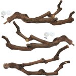 Chenquansarl - lot de 3 cintres naturels pour o aux - pour perruches, calopsittes et o aux - marron Chenquansarl - lot de 3 cintres naturels pour o aux - pour perruches, calopsittes et o aux - marron