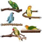 Chenquansarl - lot de 5 perchoirs en bois naturel pour o aux, perchoir a mâcher, accessoires pour cage ... Chenquansarl - lot de 5 perchoirs en bois naturel pour o aux, perchoir a mâcher, accessoires pour cage ...