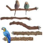 Chenquansarl - lot de 5 perchoirs naturels pour cage a o aux, cage a o aux, aire de jeu pour perruches, ... Chenquansarl - lot de 5 perchoirs naturels pour cage a o aux, cage a o aux, aire de jeu pour perruches, ...