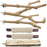 Chenquansarl - 6 pcs perchoirs en bois pour o au, branches en bois de cage a o aux, perchoirs en bois ... Chenquansarl - 6 pcs perchoirs en bois pour o au, branches en bois de cage a o aux, perchoirs en bois ...