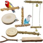 Chenquansarl - 7 pcs perchoirs naturels pour o aux, perchoir o aux jouet perroquet, bois pieds perchoirs ... Chenquansarl - 7 pcs perchoirs naturels pour o aux, perchoir o aux jouet perroquet, bois pieds perchoirs ...