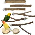 Chenquansarl - 8 pcs perchoir perroquet en bois, perchoir o au arbre avec vis et rondelles, branches ... Chenquansarl - 8 pcs perchoir perroquet en bois, perchoir o au arbre avec vis et rondelles, branches ...