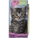 Chenquansarl - agenda semainier fin 2022 avec stylo motif chaton et chiot bleu Chenquansarl - agenda semainier fin 2022 avec stylo motif chaton et chiot bleu