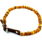 Chenquansarl - collier d'ambre pour chien - collier d'ambre pour chien - perles d'ambre naturelles de ...